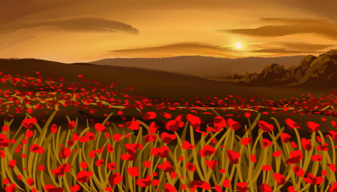poppy landscape